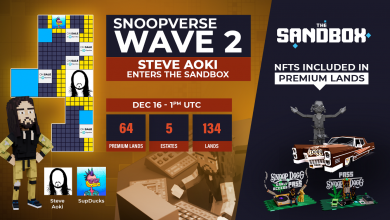 Snoop Dogg Preps Wave 2 Of Metaverse Land Sale Featuring Steve Aoki