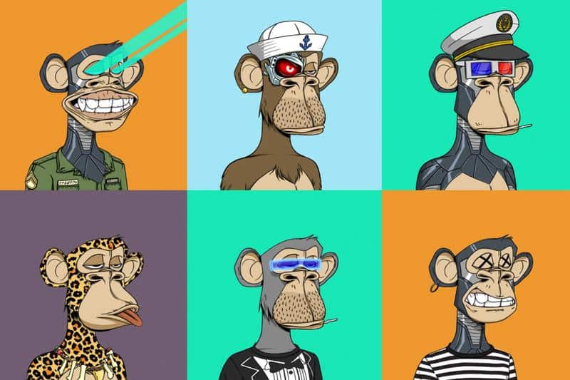 Different Bored Ape NFT avatars