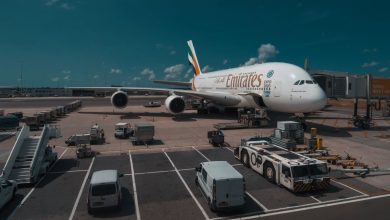 Emirates Hiring 4,000 Cabin Crew to Train for the Metaverse
