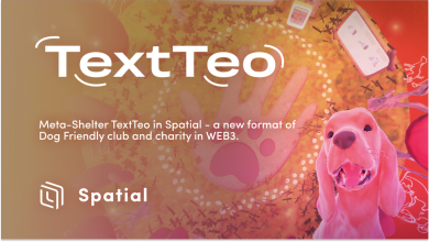 Revolutionizing Charity in the Metaverse: Meta-Shelter TextTeo Unveils a Web3 Haven for Dog Lovers
